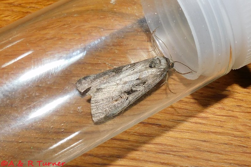 NatureUK tweet media