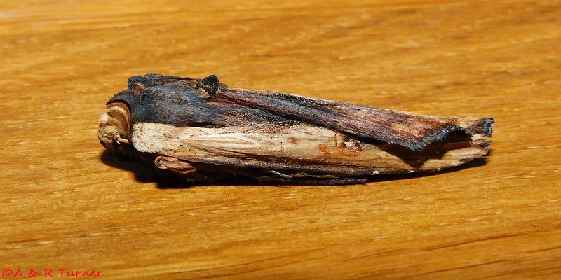 NatureUK tweet media