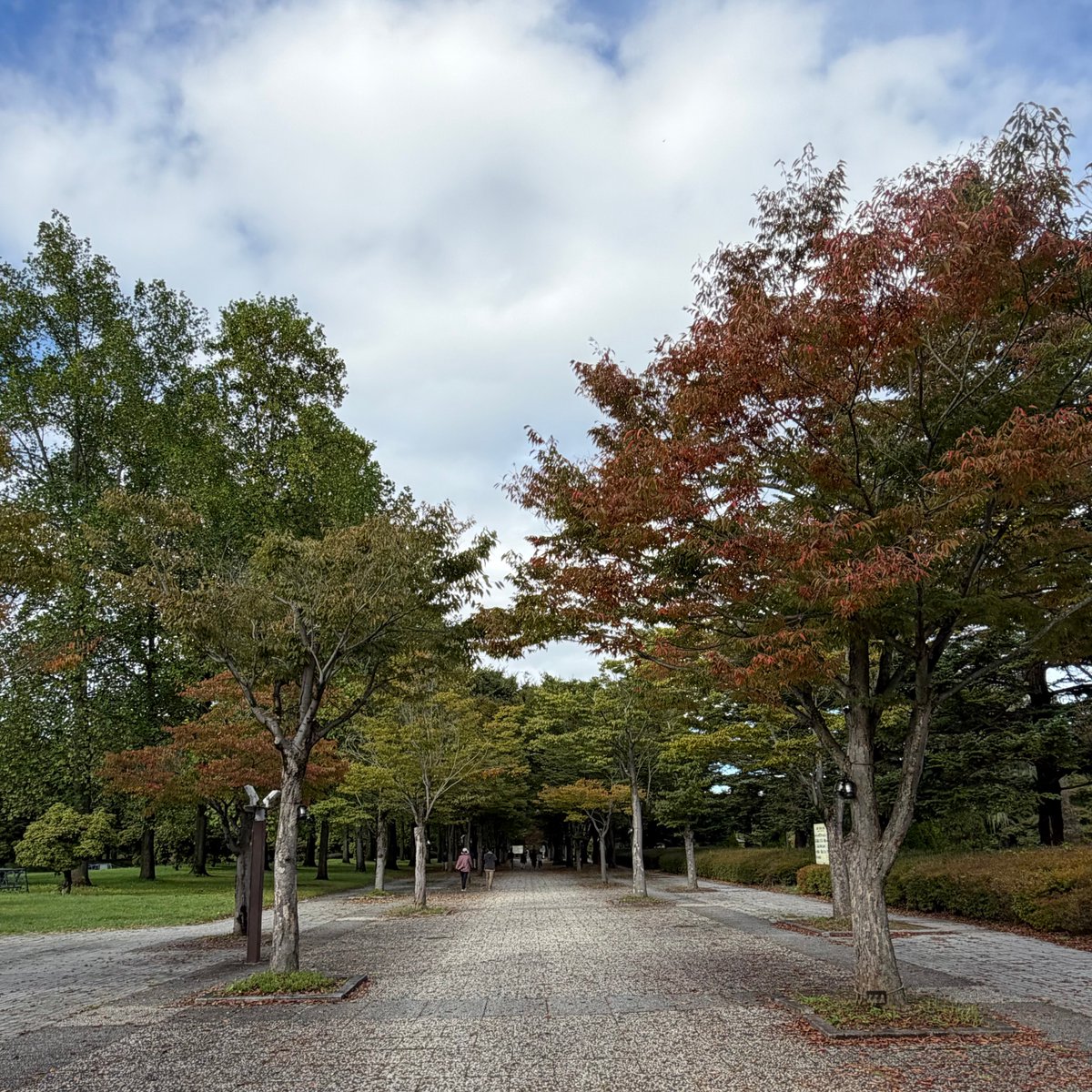 山形県総合運動公園🏟 on X