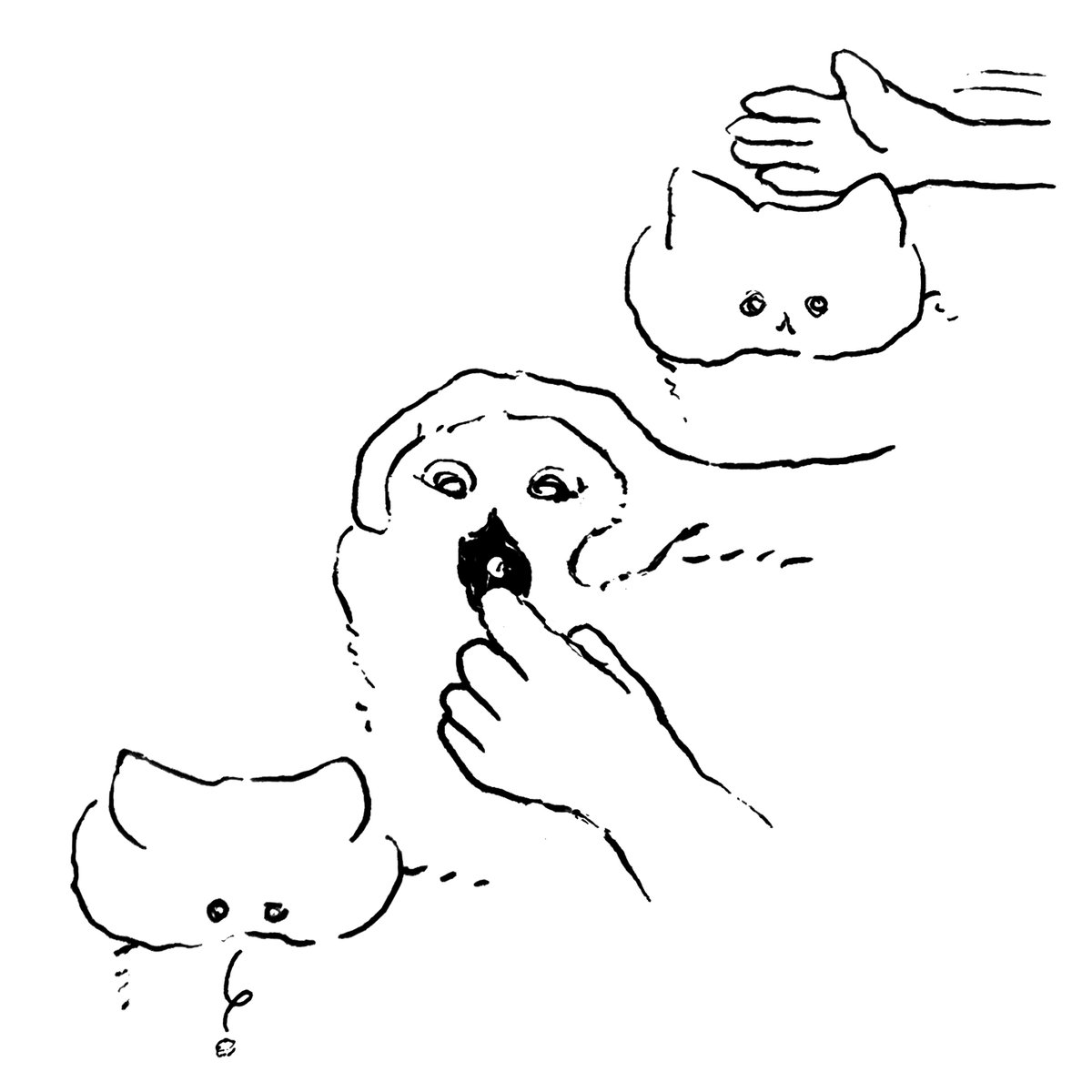 ねこ 