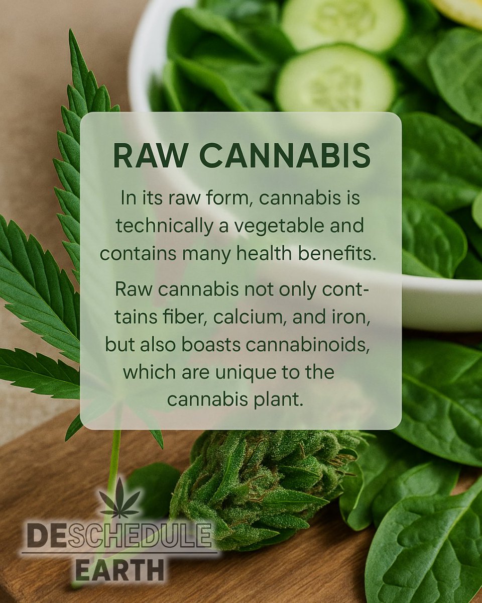 chha2020's tweet image. Look at all this green goodness! It&apos;s a tragedy that a plant with such natural benefits is still unjustly criminalized. Imagine the health potential and research possibilities if we simply acknowledged cannabis for what it is. Our patients deserve better. Our communities deserve…