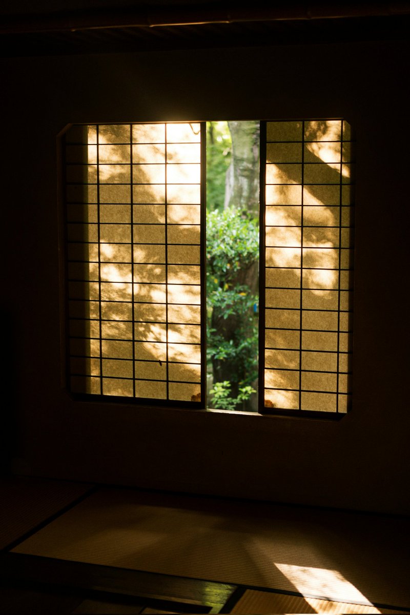 Gm 🌿 🌌

Go back to the origins with My Taiken 🪭

#CryptoCommunity #NFTs #Web3