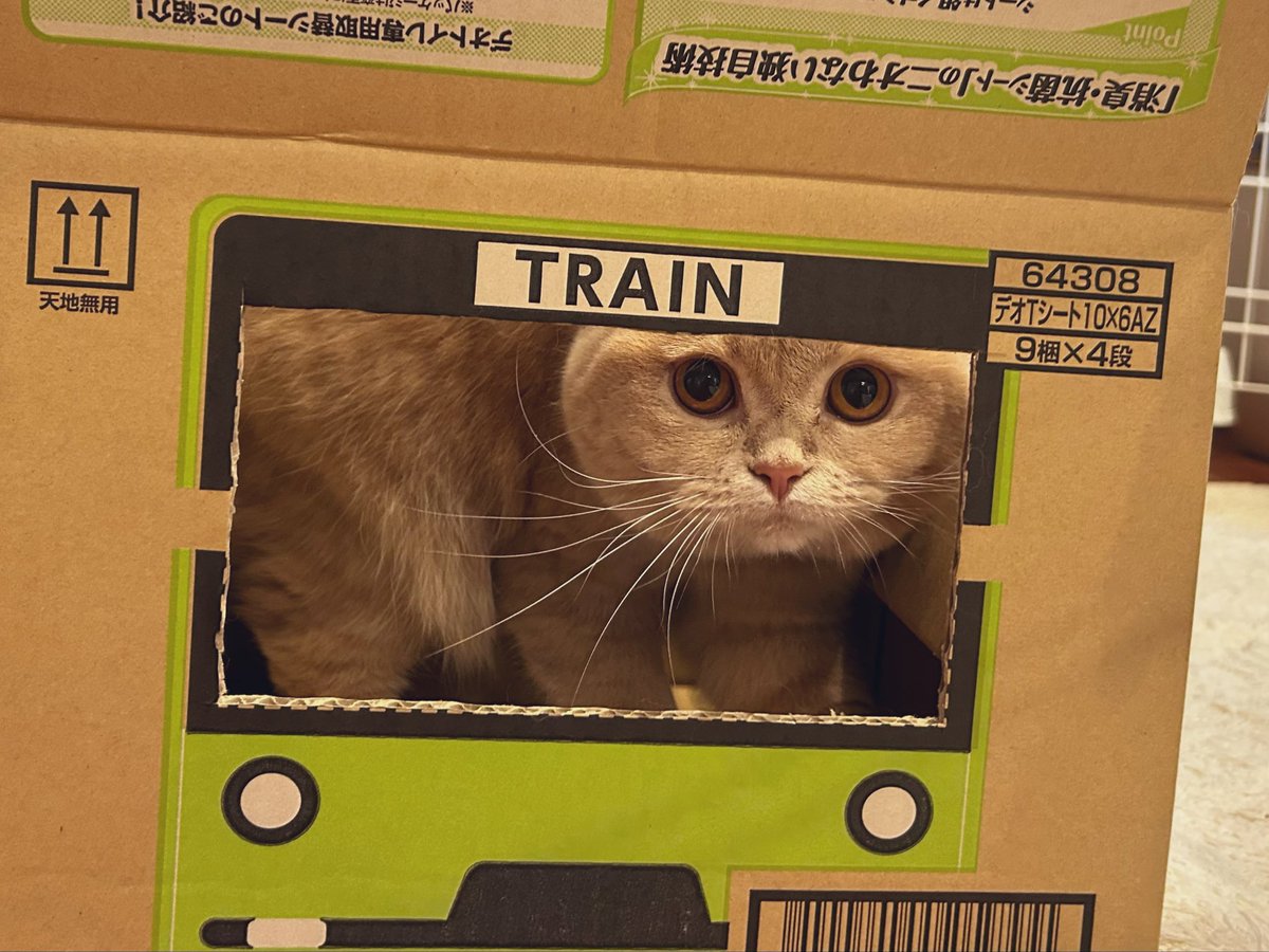 なぎページ 000000004375_uqRWRE0.jpg