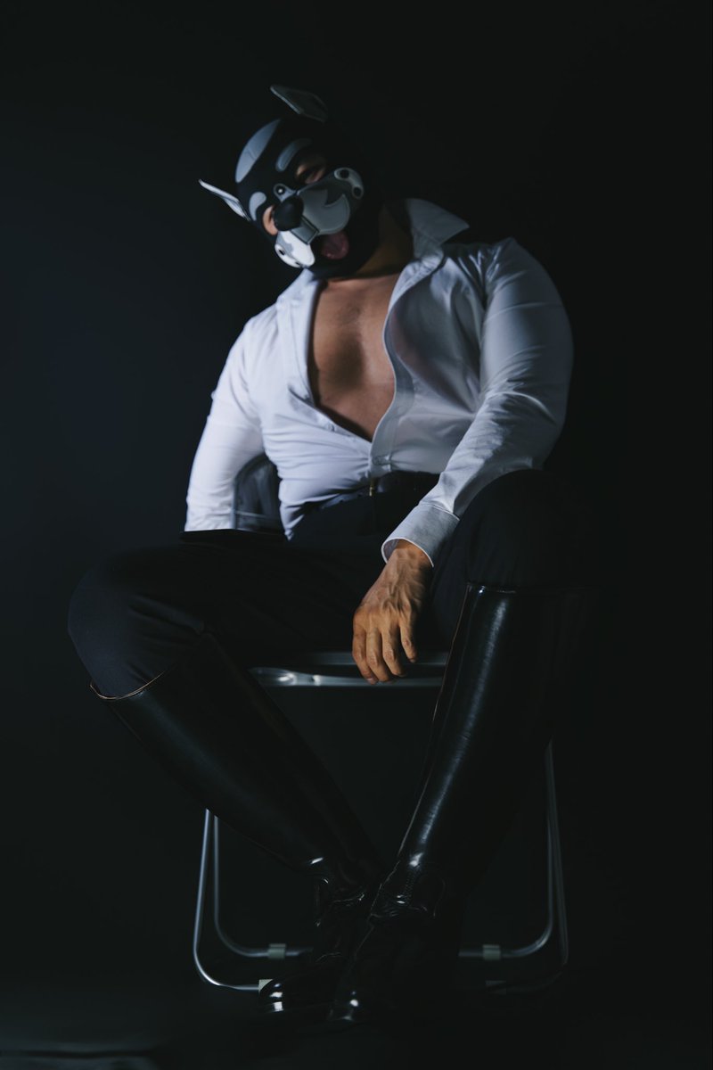 chastity bear tweet media