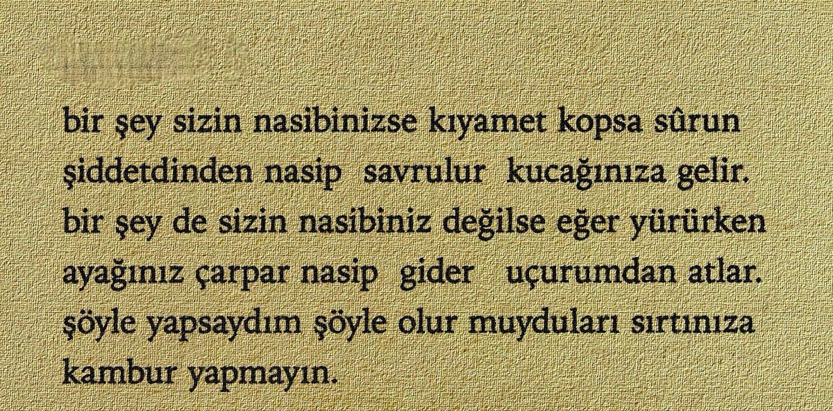 Monna Rosa (@ayaserenat) on Twitter photo 