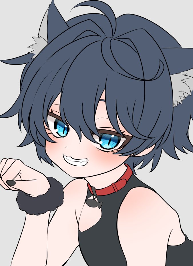 wip🐈‍⬛
