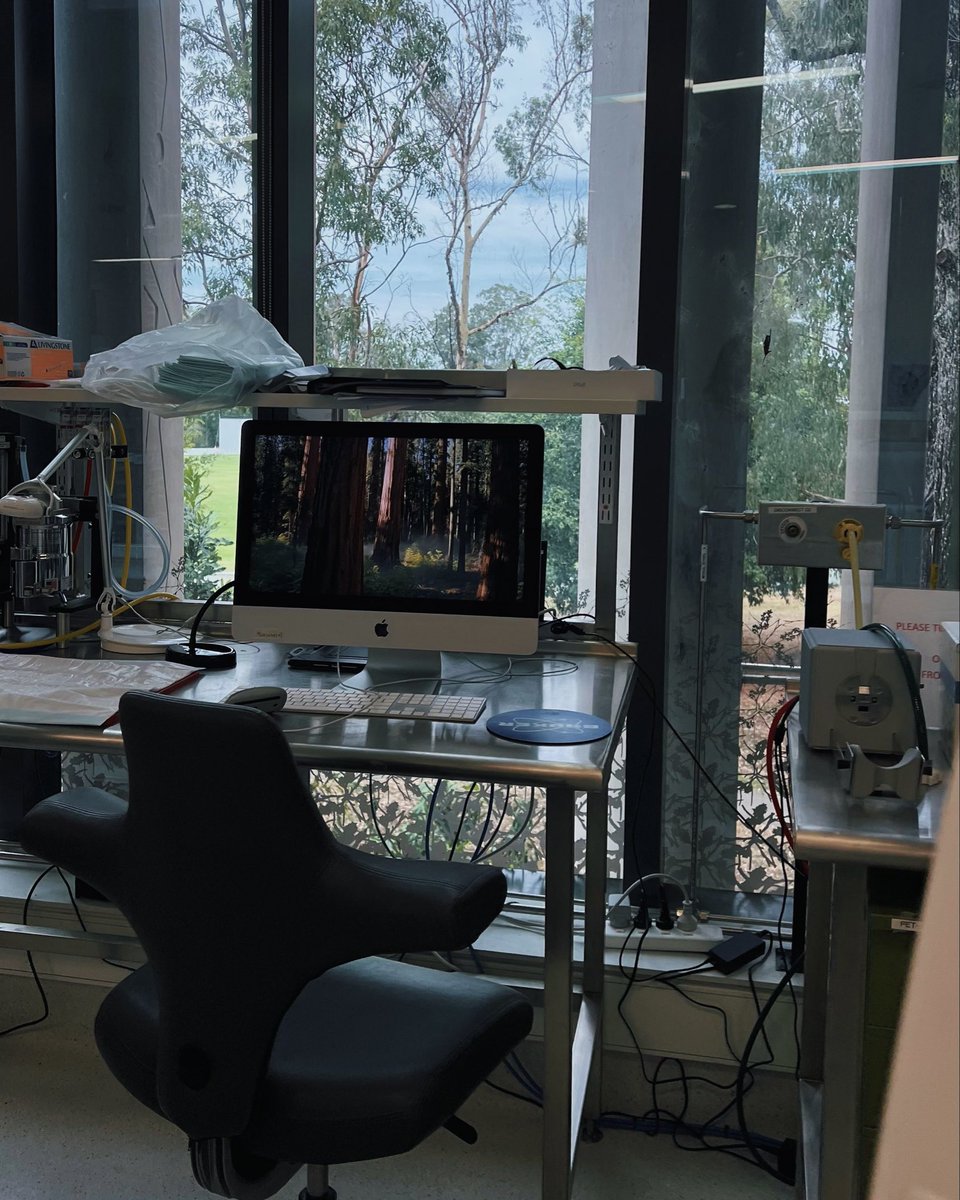 Majed Aldhafeeri. tweet media