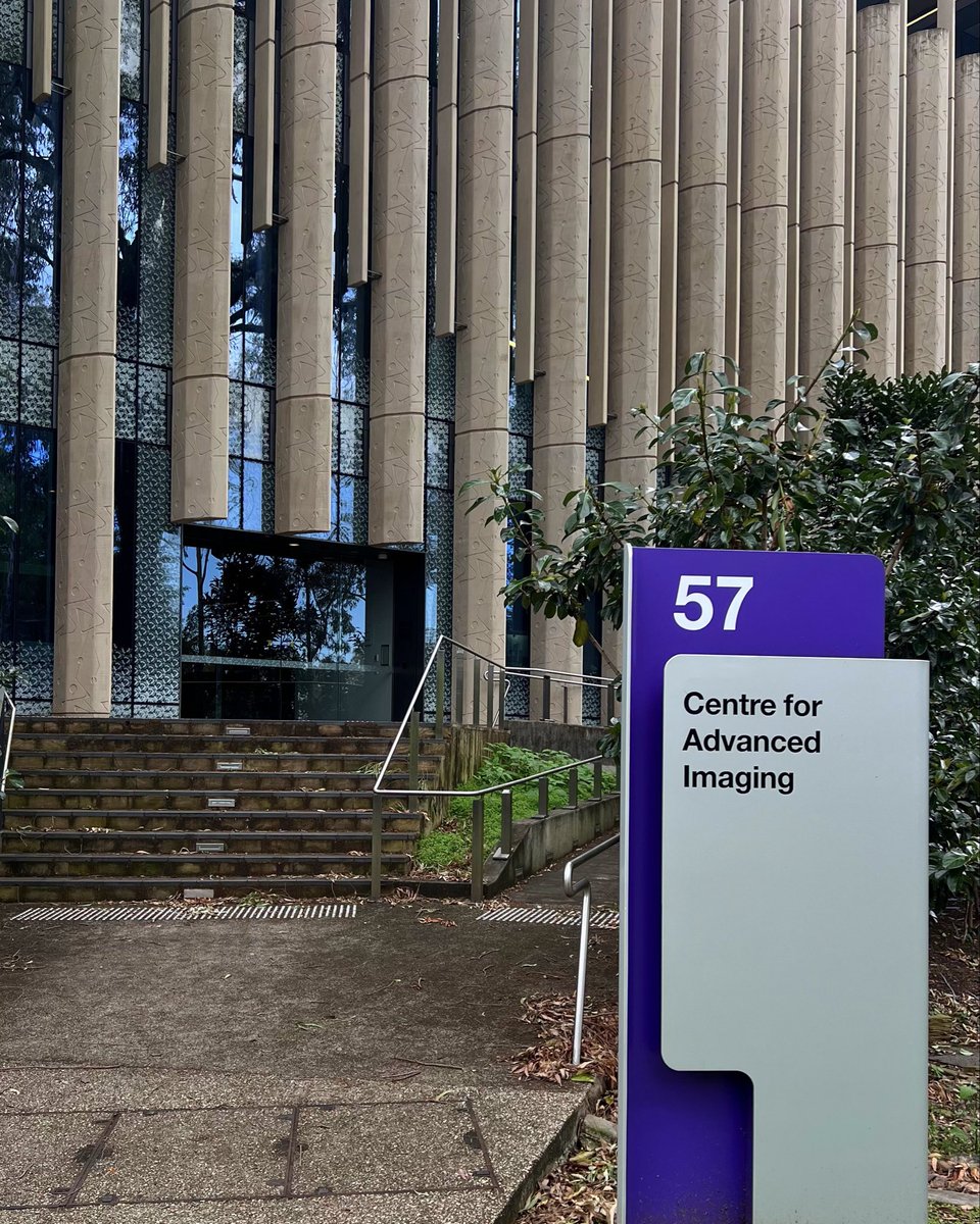 Majed Aldhafeeri. tweet media