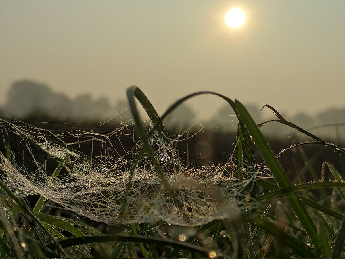 Latitudine45°16'D tweet media