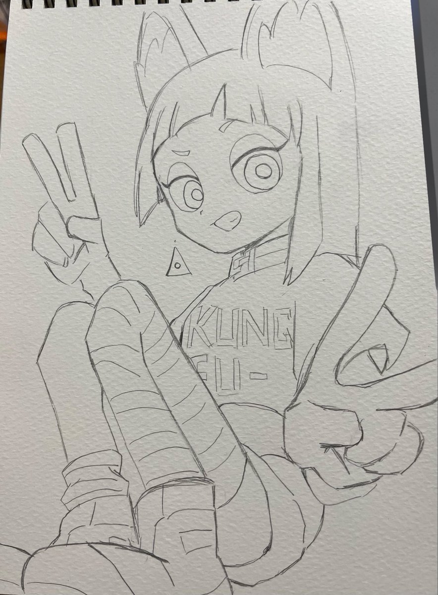 はなぶし@KUNG-FU-PIGGY (@hanabushi_) / Posts / X