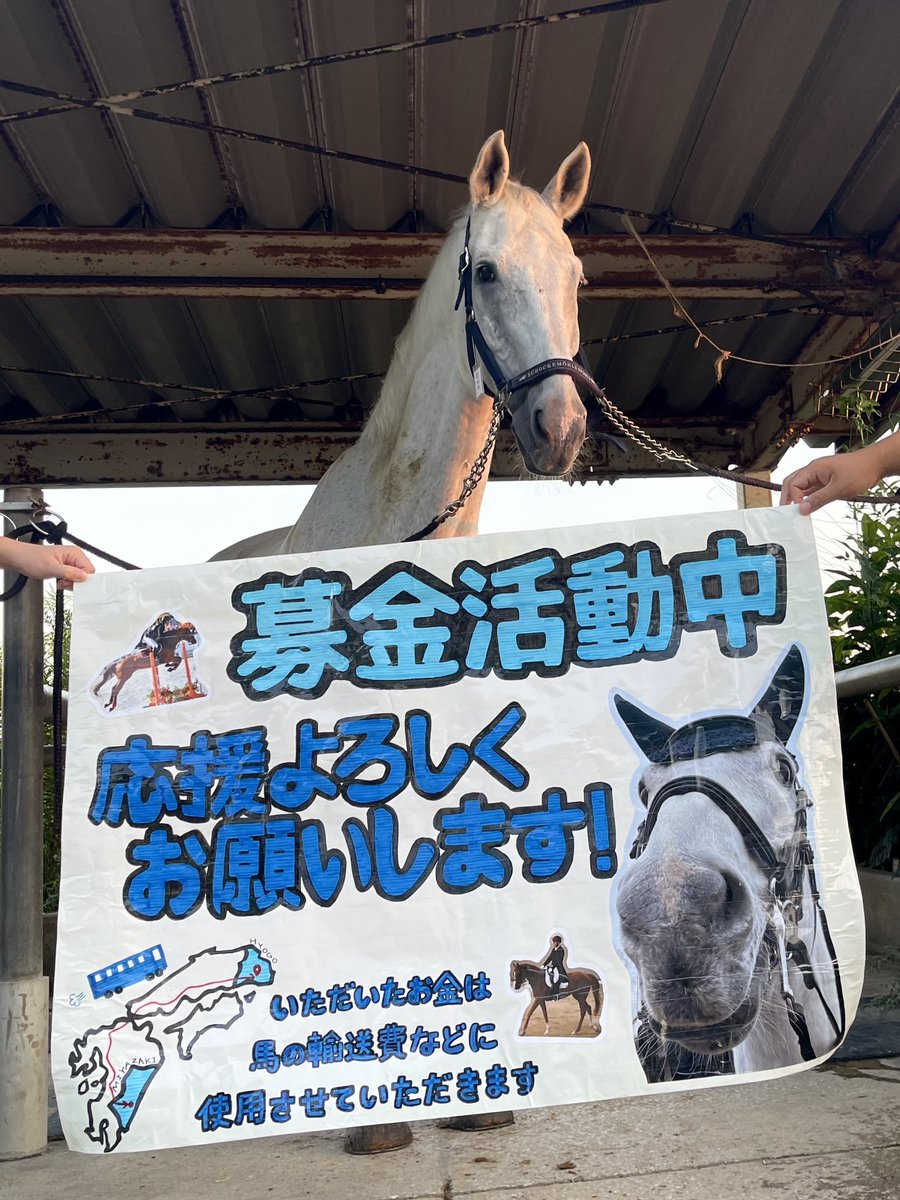 yuページ 安全靴 スニーカー ジーベック85409 |サンワーク本店