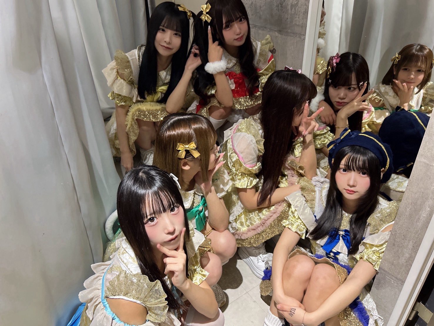 すてねこキャッツ on X: 