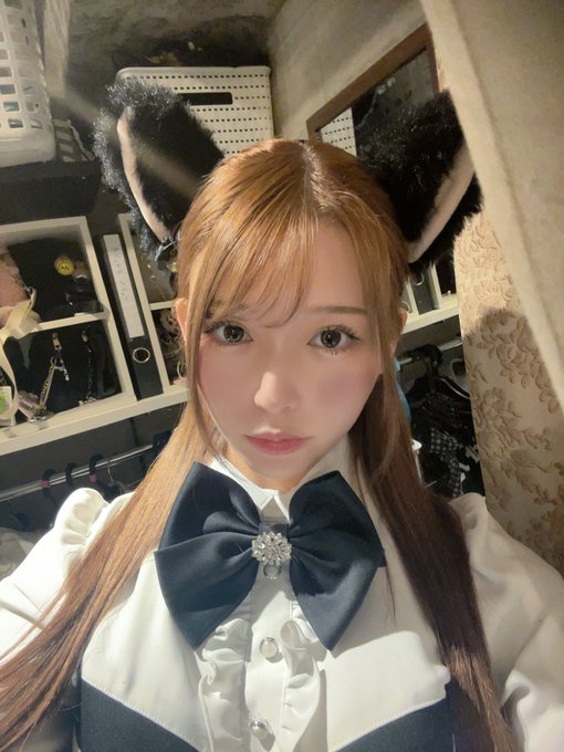 みゃおみゃお 秋葉原 コンカフェ ＆ メイドカフェのツイート