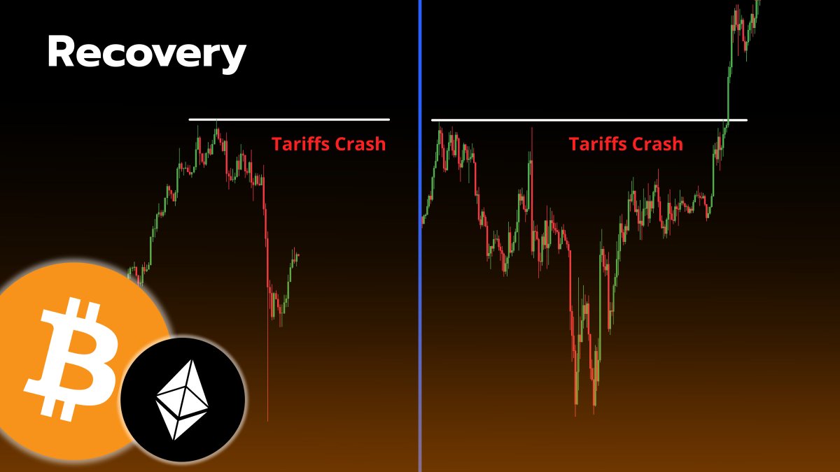 CryptoGoos tweet media