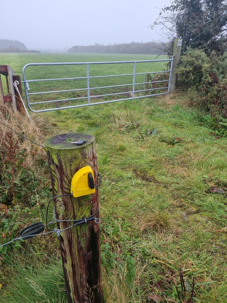 Bryan Daniels tweet media