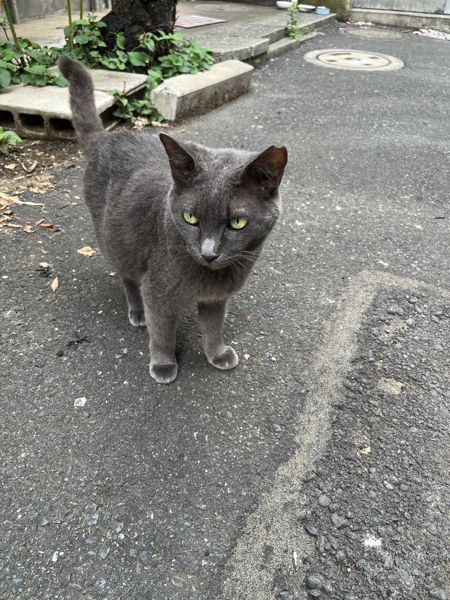 みなさまこんばんは🌃

引き続き出勤中のちかげです🍀

本日最短このあと20時30分以降のご案内となります♪
スタートのお時間・コース時間によってはラスト1名様になる可能性もありますのでお早めにがオススメです🤫

週の始まり、まだまだお待ちしております♡