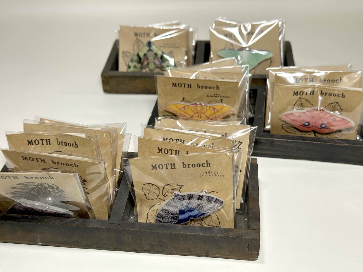 𝔾𝕝𝕒𝕤𝕤 𝕚𝕟𝕤𝕖𝕥𝕥𝕠 tweet media