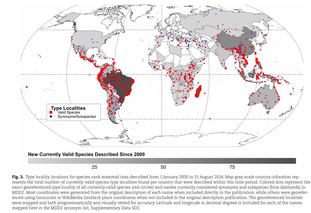 It's crazy to think, that while heading toward 9 billion people on Earth, we ere still undescribed (and know nothing about) hundreds to maybe thousand mammalian species:
academic.oup.com/jmammal/advanc…
"projections of ∼7,079 species by 2030 and ∼8,376 by 2050 if these trends continue"