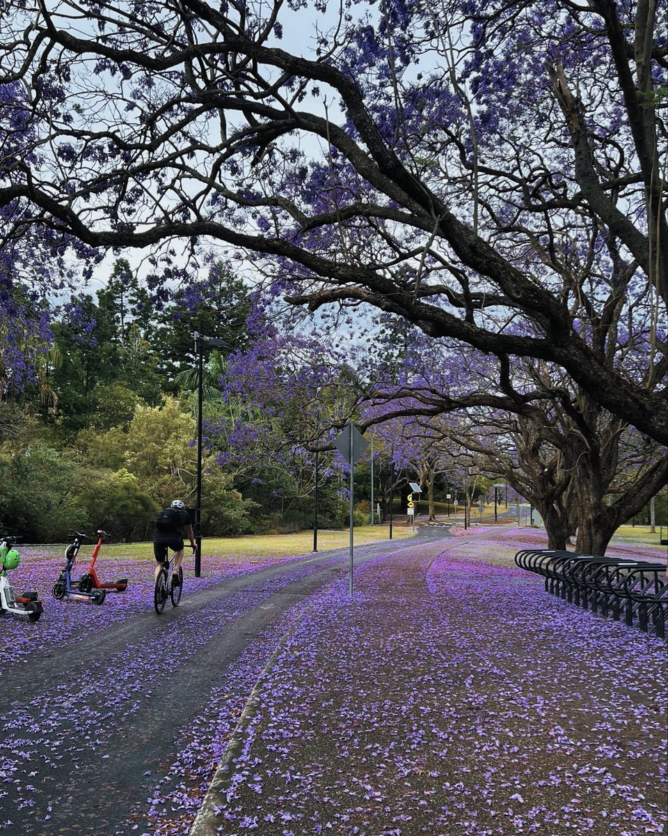 Majed Aldhafeeri. tweet media