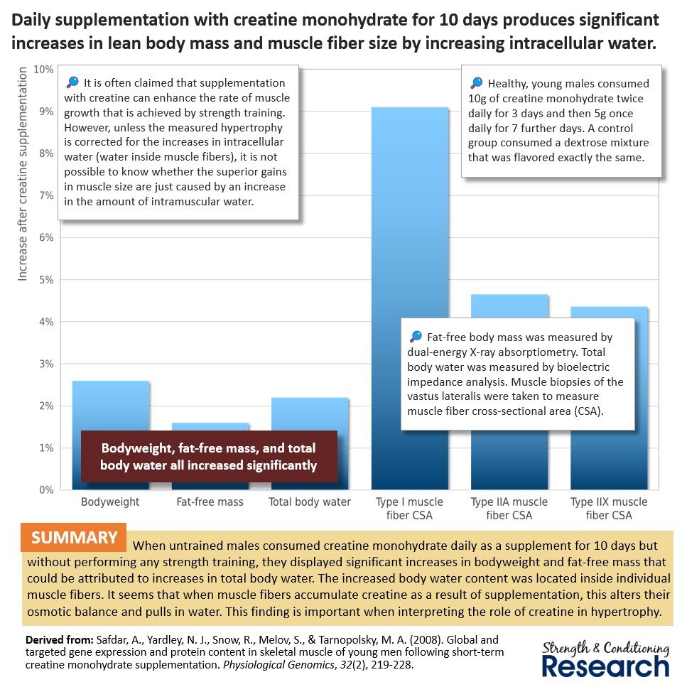 When creatine is consumed when subjects are not carrying out strength training, it causes an increase in muscle size anyway. This increase in muscle size can be attributed to an increase in intracellular water.