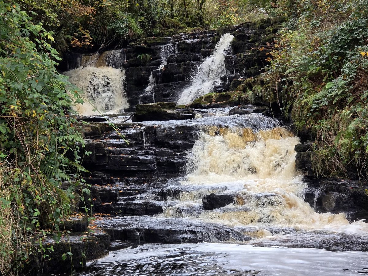 ThisIsIreland3's tweet image. Poll An Easa Waterfall 🏞️💚🌊

📍County Leitrim, Ireland 🇮🇪 

📸 John Shanley 

#Leitrim #PollAnEasa #Waterfall #Ireland