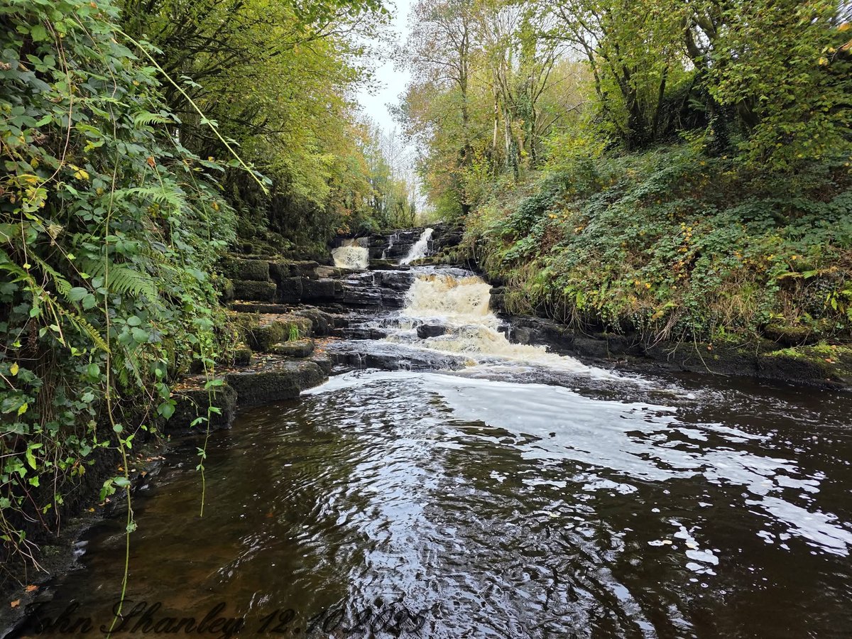 ThisIsIreland3's tweet image. Poll An Easa Waterfall 🏞️💚🌊

📍County Leitrim, Ireland 🇮🇪 

📸 John Shanley 

#Leitrim #PollAnEasa #Waterfall #Ireland