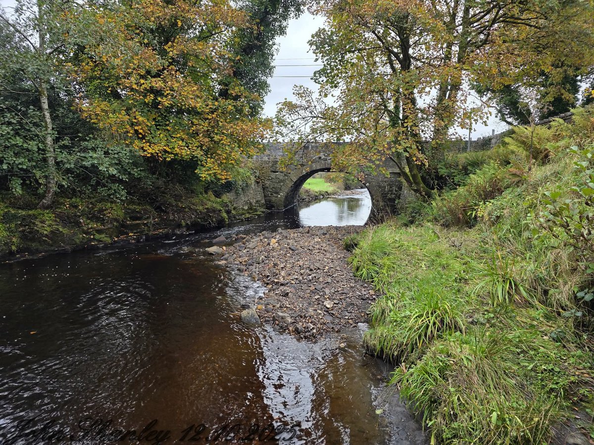ThisIsIreland3's tweet image. Poll An Easa Waterfall 🏞️💚🌊

📍County Leitrim, Ireland 🇮🇪 

📸 John Shanley 

#Leitrim #PollAnEasa #Waterfall #Ireland