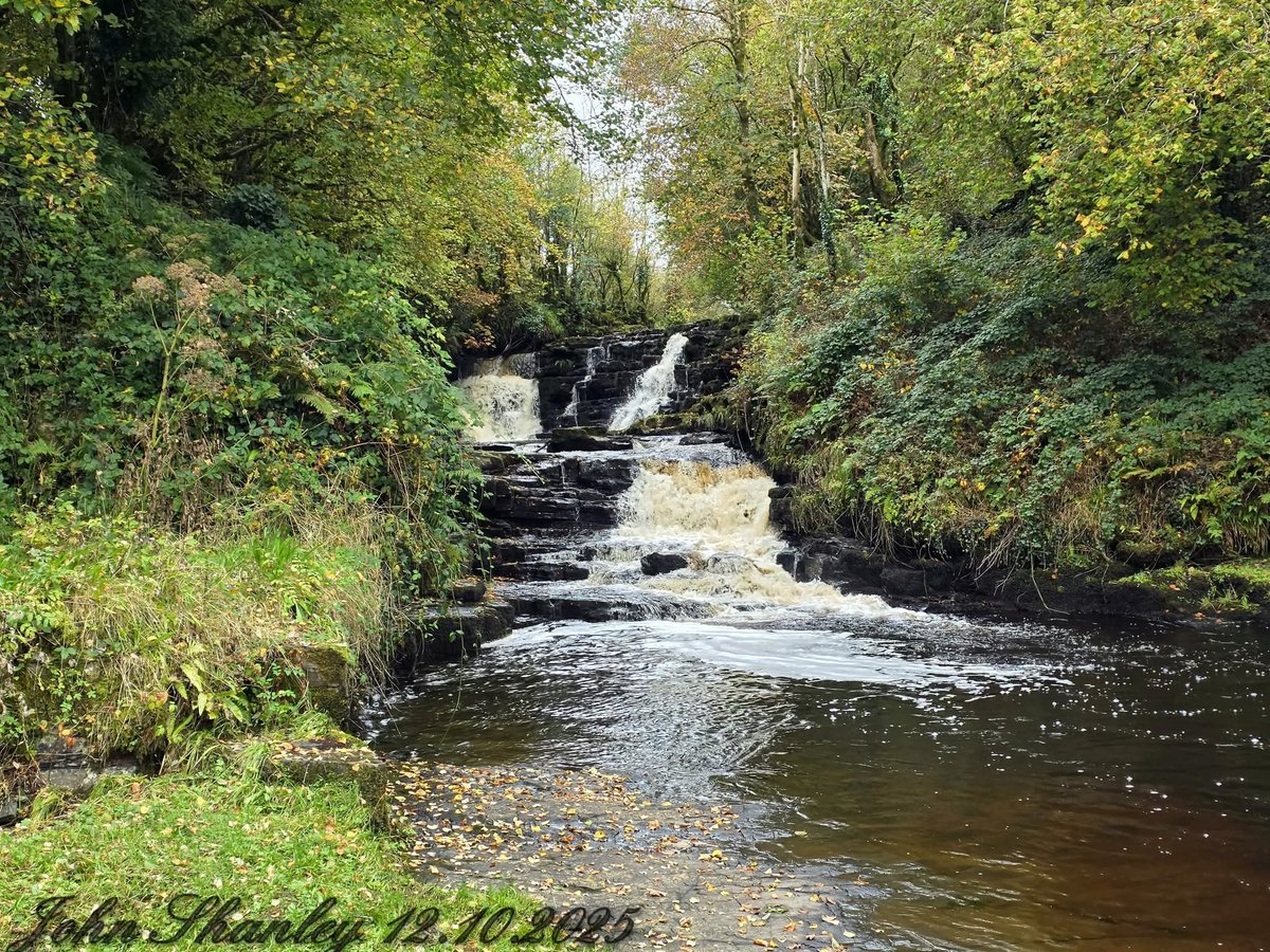 ThisIsIreland3's tweet image. Poll An Easa Waterfall 🏞️💚🌊

📍County Leitrim, Ireland 🇮🇪 

📸 John Shanley 

#Leitrim #PollAnEasa #Waterfall #Ireland
