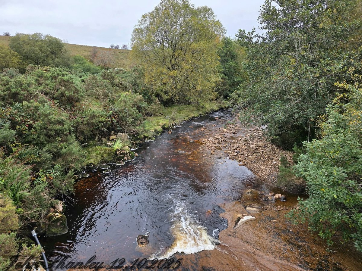ThisIsIreland3's tweet image. 📍 Beautiful Irish countryside in Aughrim, County Leitrim 🏞️💚

📸 John Shanley

#Aughrim #Leitrim #Ireland #Beauty