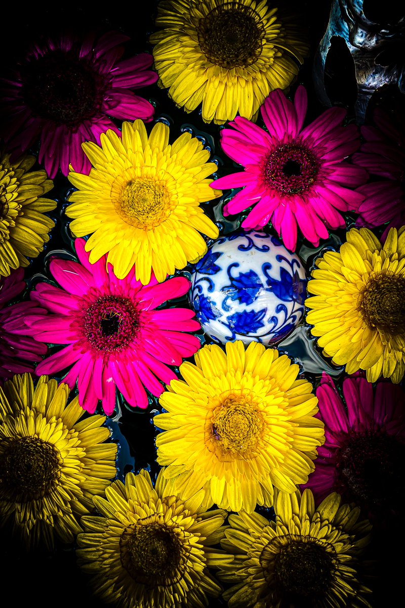 #ファインダー越しの私の世界
#猫好きさんと繋がりたい           
#写真好きな人と繋がりたい
#TLを花でいっぱいにしよう
#キリトリセカイ 
#photography #花手水 
#こんな時こそTLに花を咲かせよう