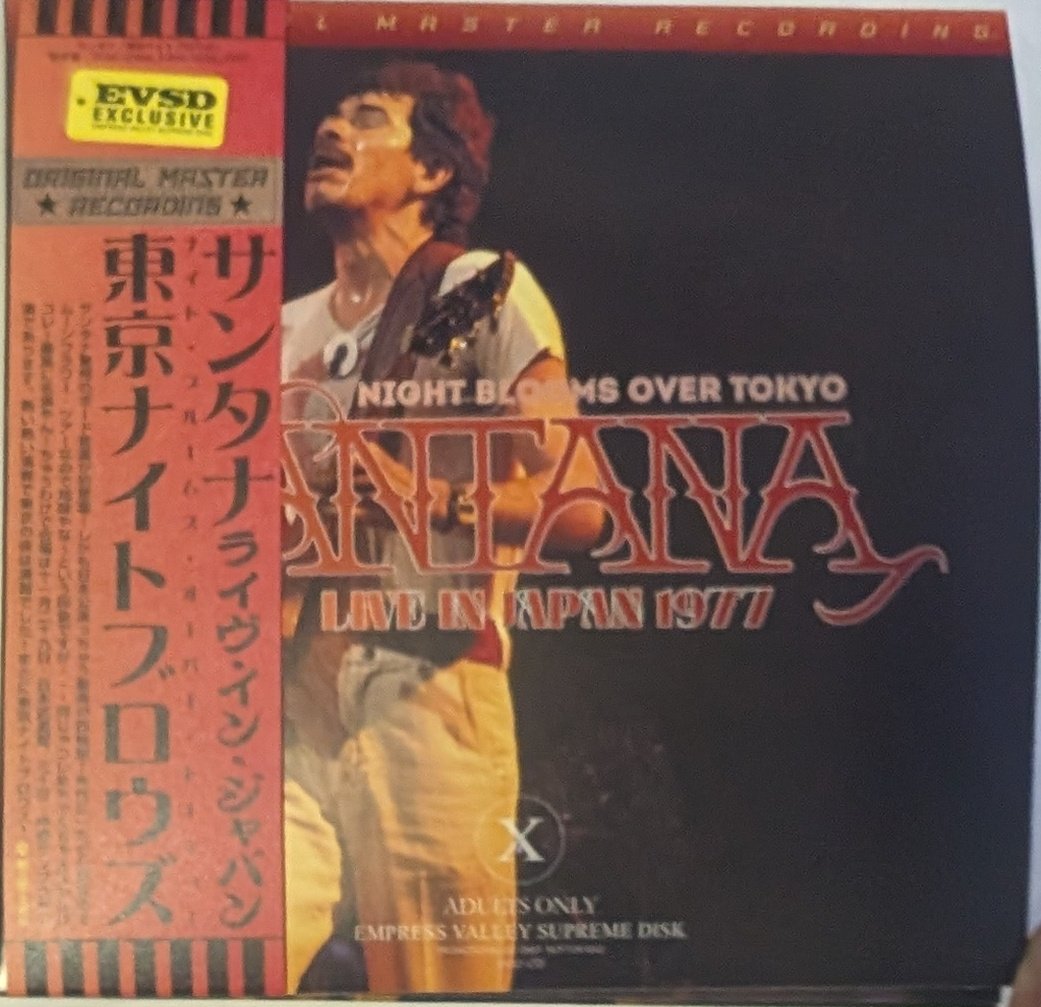 Sunflower Nocturna ボストン東方樂団 ボストン東方樂団 (@BostonTouhou) / X