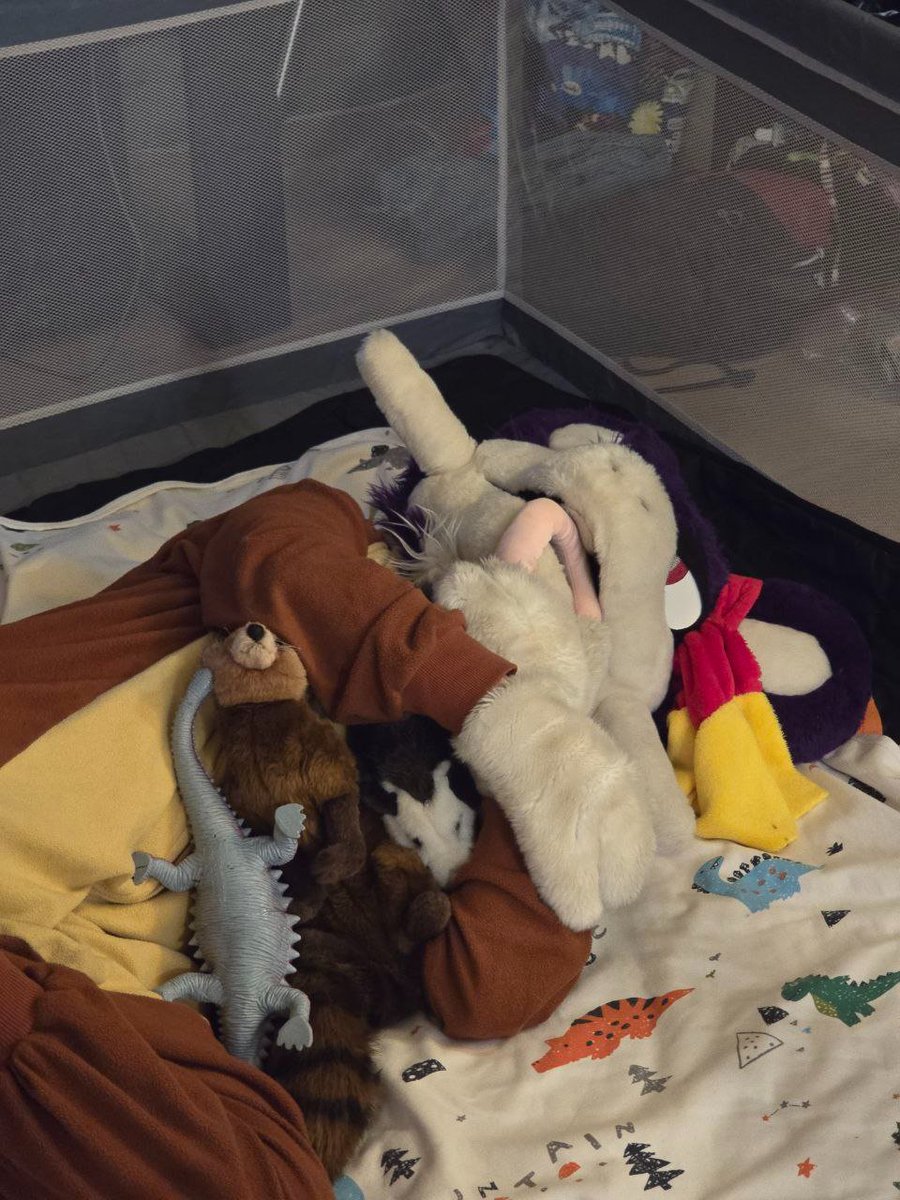 Spent Saturday night as a little rat, dressed as a dinosaur, playing so hard that I fell asleep with toys and plushies in a playpen. Thriving!
#fursuiting #babyfur