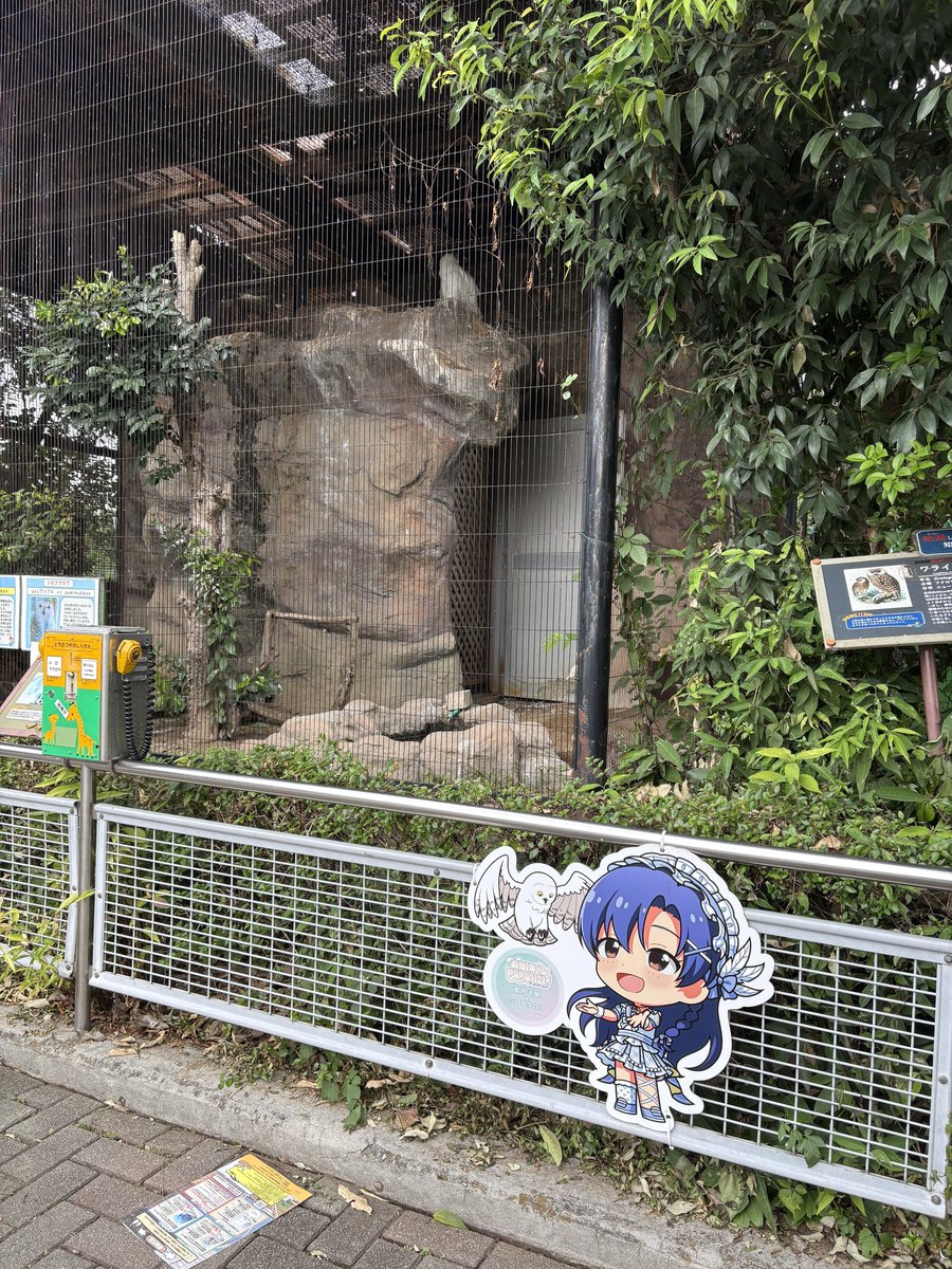 athno's tweet photo. 東武動物公園ミリオンライブコラボ、最終日に滑りこんで満喫してきました！ワニワニ https://t.co/L1zWmz1W9I