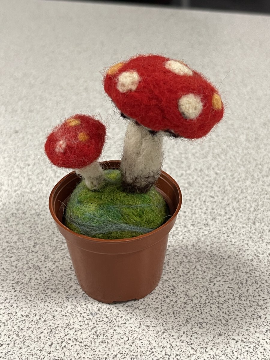 BromsPrep's tweet image. Creativity explored in diamond art and felt craft club during Saturday Activities at the Prep School.

#BromsActivities #SchoolActivities