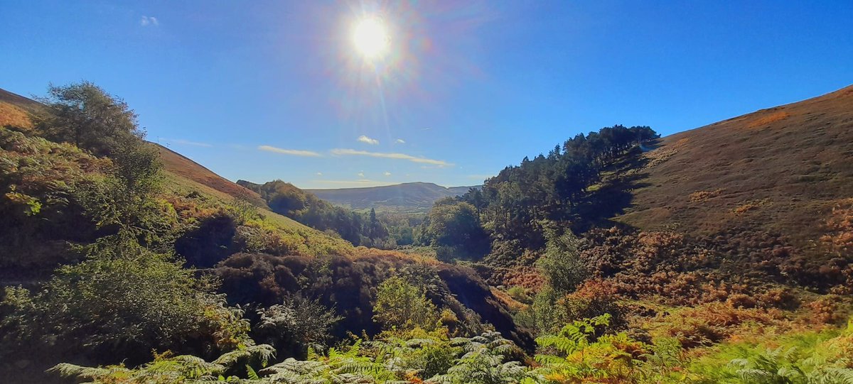 Moors2Mountains's tweet photo. This coming weekend, I am very excited to be returning to the Dark Peak to lead two guided walks. #peakdistrict #darkpeak #kinderscout #edale #hayfield #kindertrespass #masstrespass #greatridge #mamtor #losehill #derbyshire #peakdistrictwalks #derbyshirewalks #mountainleader https://t.co/C56ohIuAmF