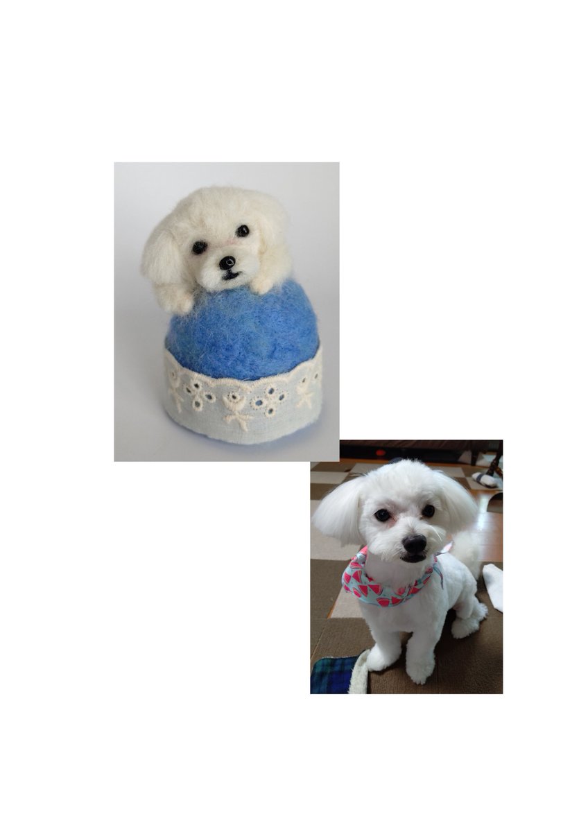 Rurumaru羊毛フェルト (@rurumaru18) / Posts / X