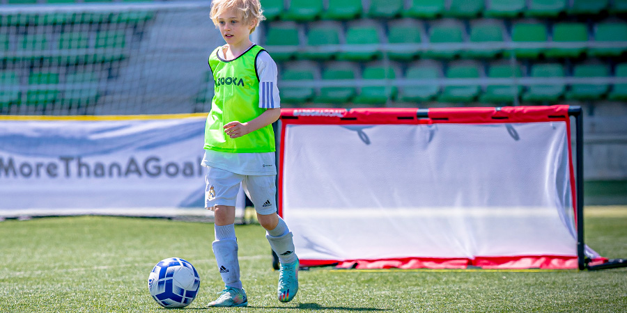 Discover the BazookaGoal 180x90 — the largest goal in our pop-up collection, yet the most compact when folded for easy transport and storage.

(Read the full article here  👇⚽ bazookagoal.com/en/news/post/m…)