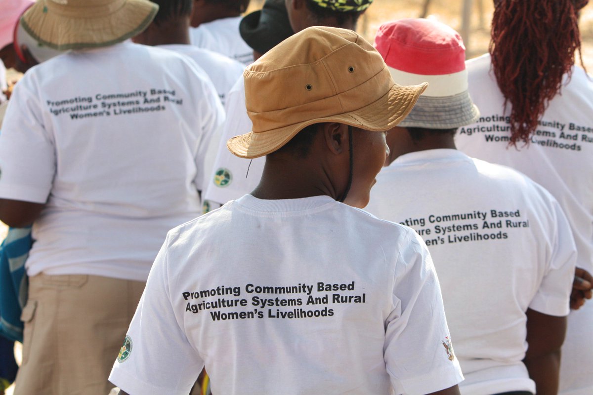 Conducted a powerful workshop guiding 46 changemakers through climate change, solar egg incubation, ISAL, and inclusive leadership. Rural women &amp; youth are leading the way in resilience. 🌱 #ClimateAction #Leadership #SOET #Zimbabwe