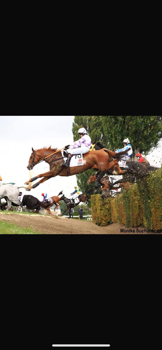 jamesbe19813630's tweet photo. Another great spin round the Velka Pardubiche finishing 5th on Zarate  🐎 ✈️  a real treat everytime to ride in it😁 https://t.co/tES3yd1pyZ