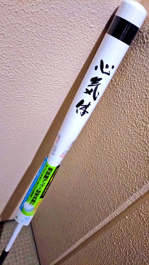 こ〜てみた〜😎

#長い箱が届いてた