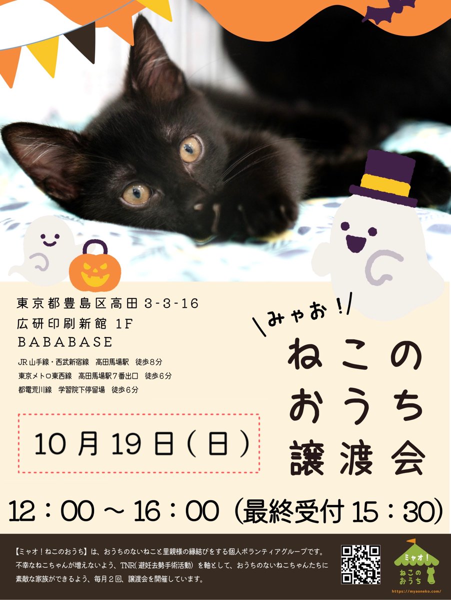 myaoneko55's tweet photo. ★☆ #保護猫譲渡会 のお知らせ ☆★
ミャオねこ譲渡会
2025年10月19日(日)
12：00～16：00(最終受付15：30)

ご予約はできません🙏
当日､申込が集中した猫さんは早期受付終了となる場合があります🙇‍♀️

https://t.co/9jLJHPmkov
#里親募集中
#東京都 #高田馬場 
👇参加猫一覧
https://t.co/VoJUapGQPl https://t.co/Gu1MwQStzZ