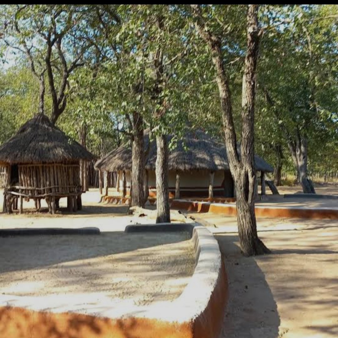 nyengentima's tweet photo. @Makiadi_ @RealPMCafrica Precisely,
Swahili shares several lexical similarities with Nguni and Tsonga languages, especially due to historical migrations and interactions across south-eastern Africa.

@ntsakosnr0
@NationalCoGTA
#bafana https://t.co/MDX2QQJISS