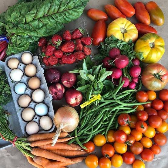 EjadFarms's tweet photo. We’re inviting 100 Lahori families to take the first step toward a healthier, toxin-free life, with food grown just for you at Ejad Farms.

🍅 Join us in growing health, not just food, for your family’s wellbeing.

👉 Learn more: https://t.co/YtCFBQ3VcI https://t.co/GOoI1crfwp