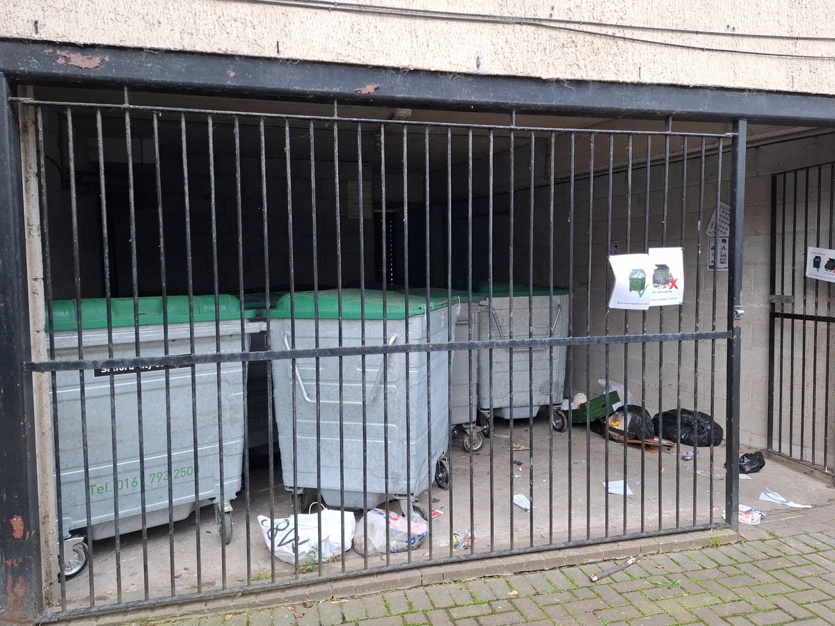 Dr Federica Coluzzi tweet media