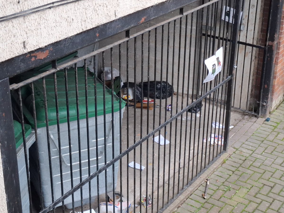 Dr Federica Coluzzi tweet media