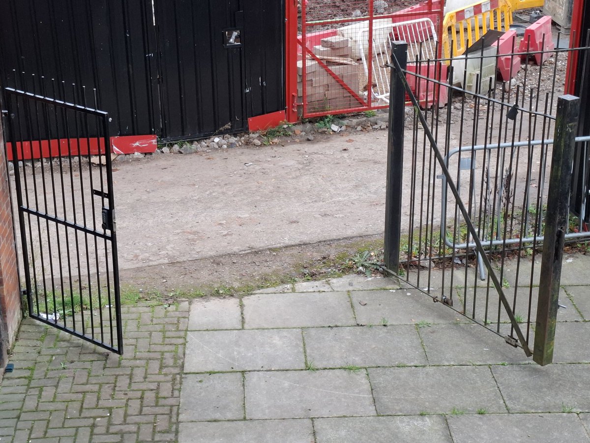 Dr Federica Coluzzi tweet media