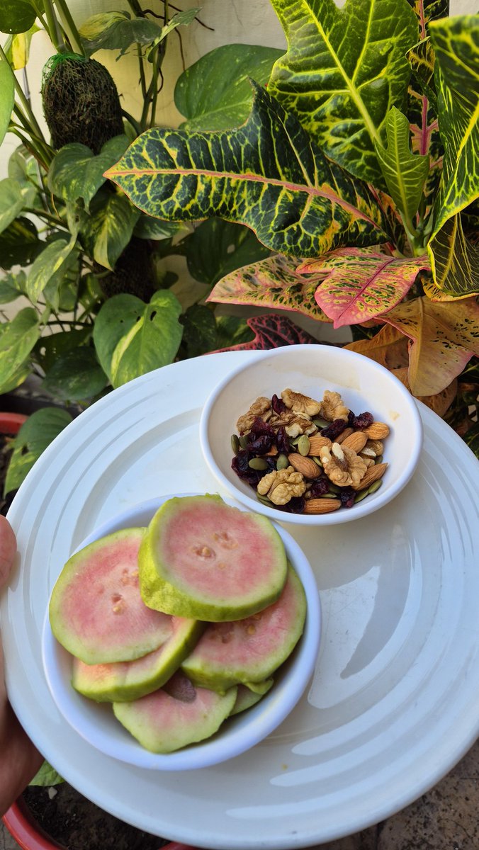 Fuel! 🌸✨️