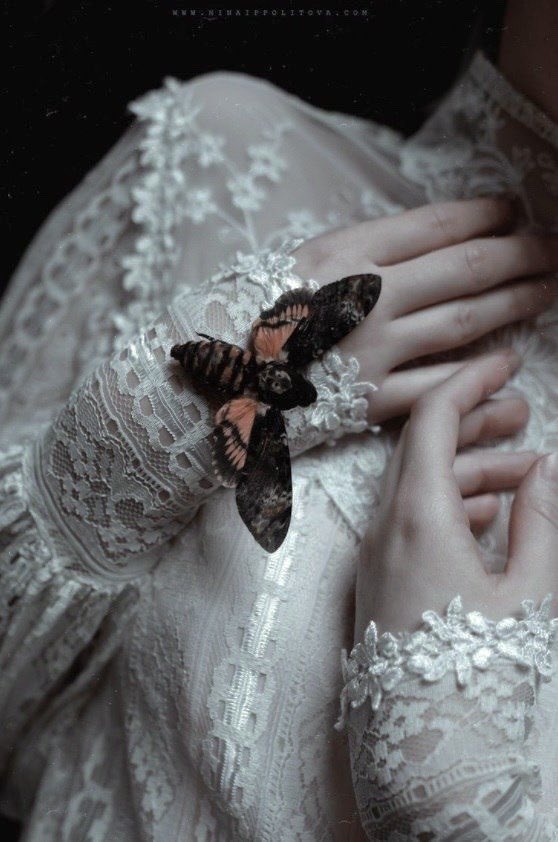 ✺ 𝖫𝖺𝗌𝗍𝗂𝗇𝗅𝗂𝗇𝖾 (@enilnitsal) on Twitter photo 