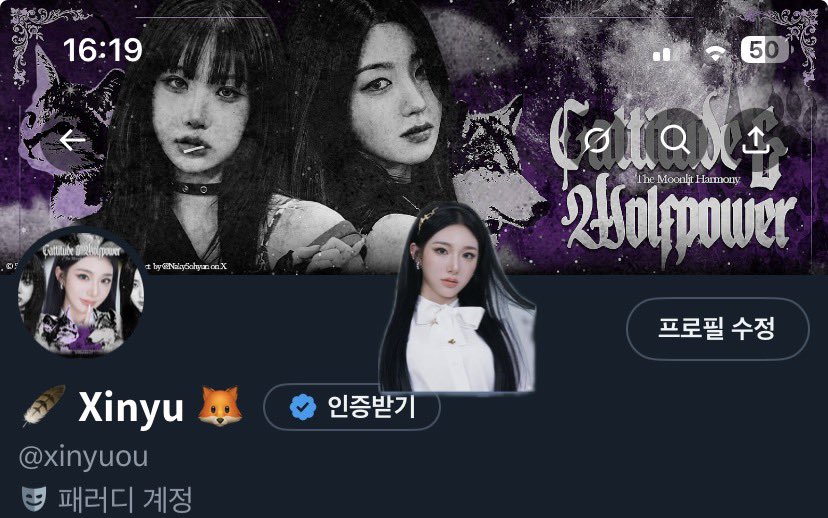 𝗫𝗶𝗻𝘆𝘂 🦊 tweet media