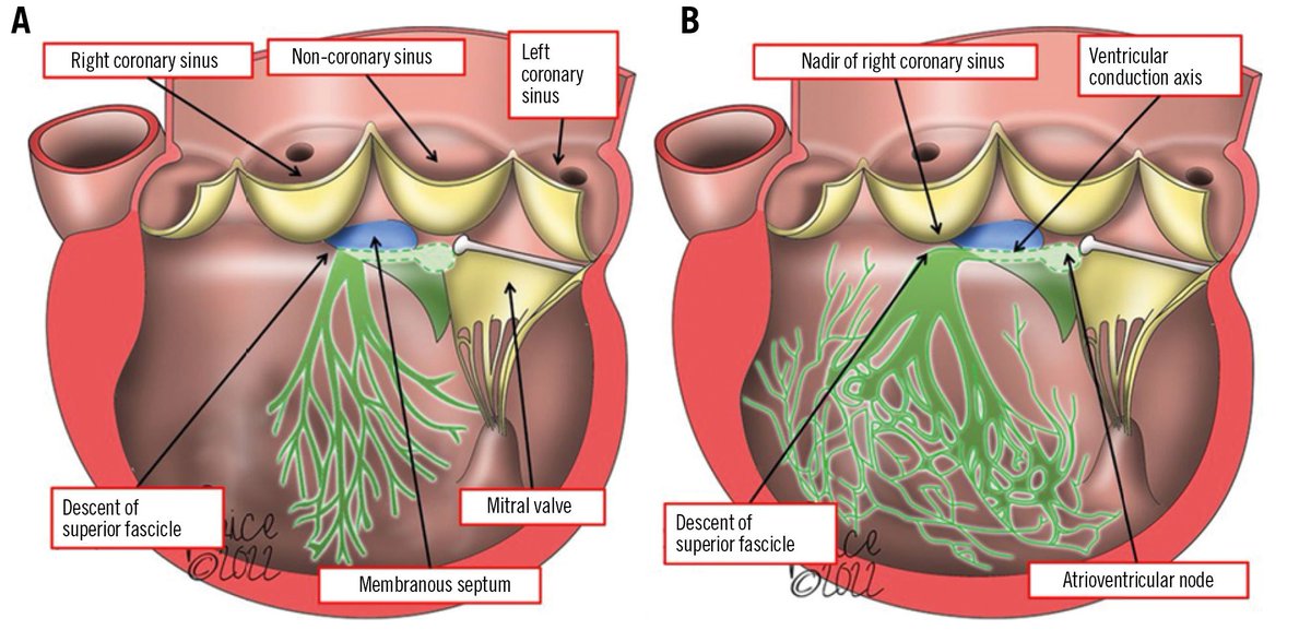 Martine Gilard tweet media